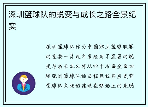 深圳篮球队的蜕变与成长之路全景纪实