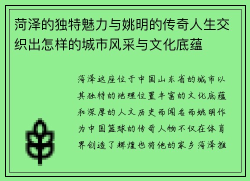 菏泽的独特魅力与姚明的传奇人生交织出怎样的城市风采与文化底蕴