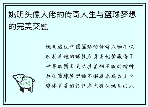 姚明头像大佬的传奇人生与篮球梦想的完美交融